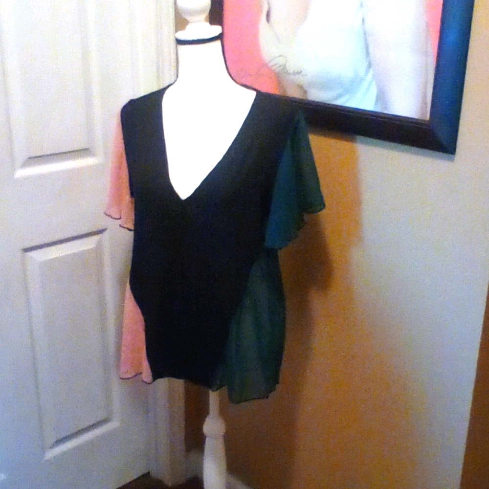 Sheer Blouse